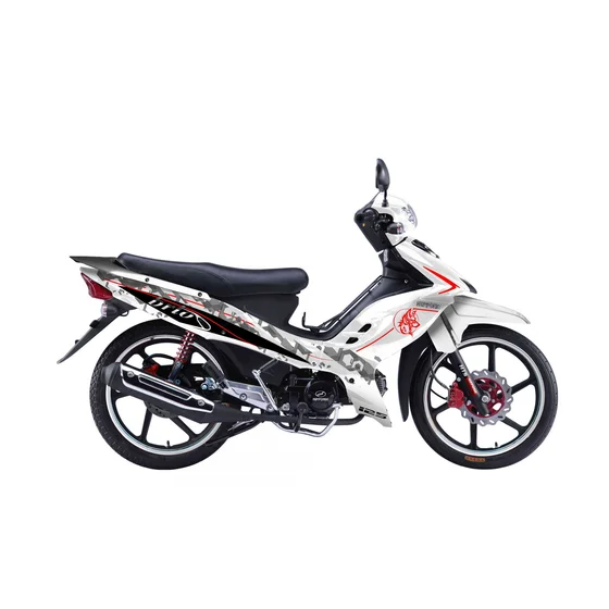 2011 Nipponia Brio 110