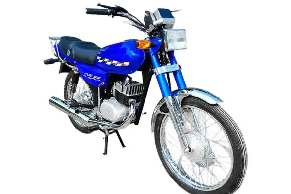 2006 Jincheng AX 100-C