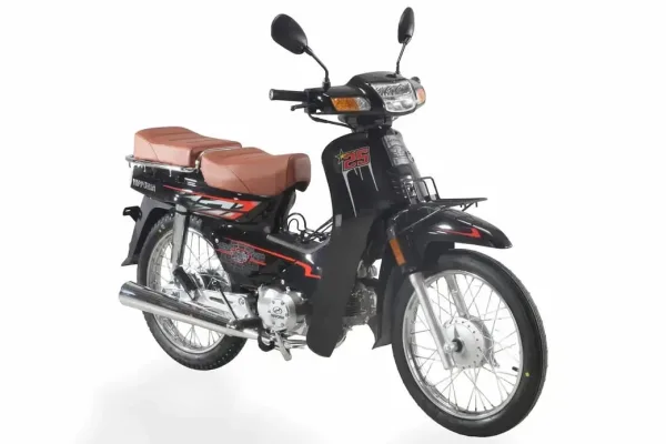 2011 Nipponia NC 90