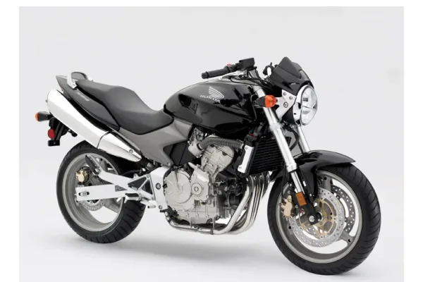 2007 Honda 599