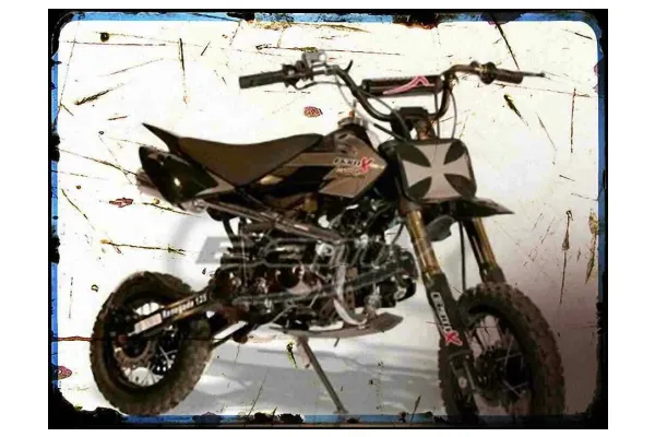 2009 BamX BX125-DB2 Renegade
