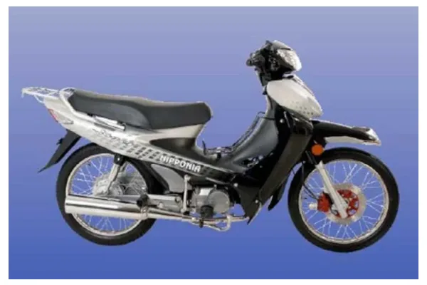 2009 Nipponia Mego 125S