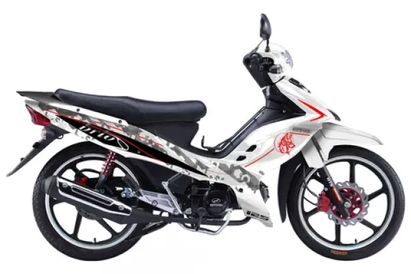 2010 Nipponia Brio 125