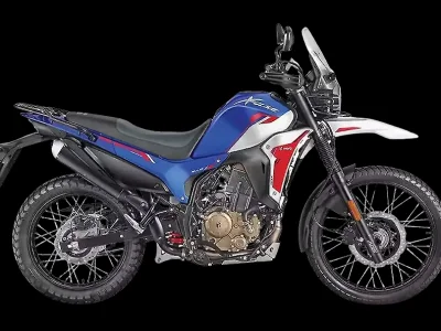 2026 Hero Xpulse 210 - photo 2