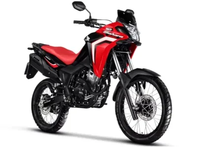 2024 Honda XRE300 Sahara - photo 1