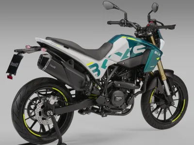 2025 Benelli BKX 300 S - photo 2