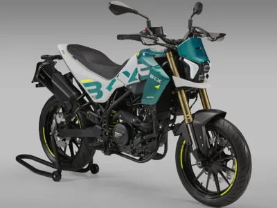 2025 Benelli BKX 300 S - photo 3