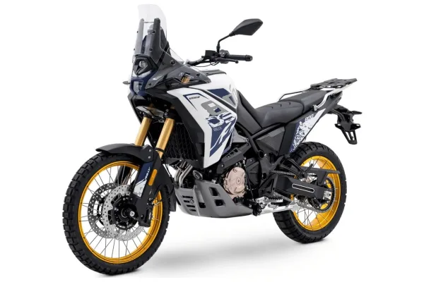 2025 Voge DS800 / DS800X Rally