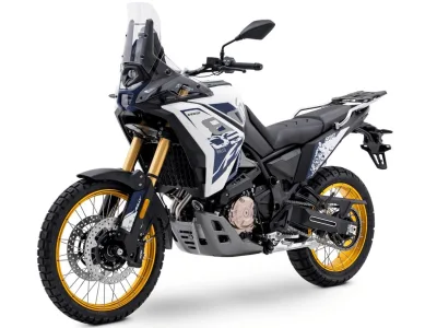 2025 Voge DS800 / DS800X Rally - photo 2
