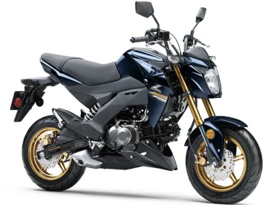 2022 Kawasaki Z125 Pro - photo 3