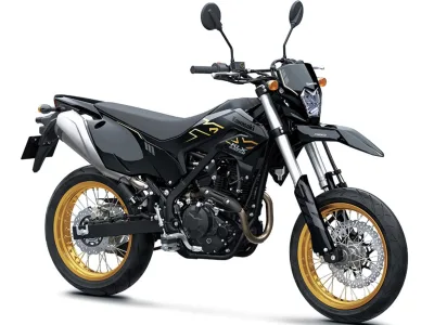 2023 Kawasaki KLX230SM - photo 4