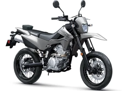 2024 Kawasaki KLX300 SM - photo 3