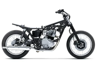 2025 Kawasaki W230 - photo 4
