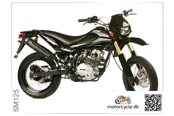 2010 CCM SM125