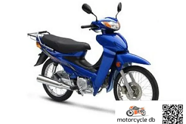 2013 Giantco Raider 110