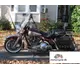1991 Harley-Davidson FLHS 1340 Electra Glide Sport - photo 2