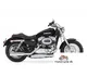 Harley-Davidson Sporster 1200 Custom 2017 50168 Thumb