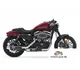 Harley-Davidson Sportster Roadster 2017 50165 Thumb