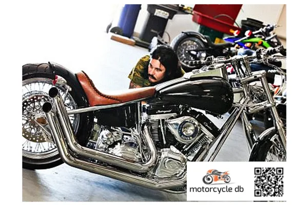 2010 Intrepid Snub Nose