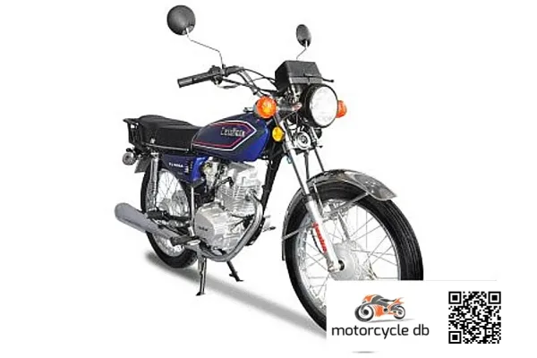 2013 Izuka TL 125A
