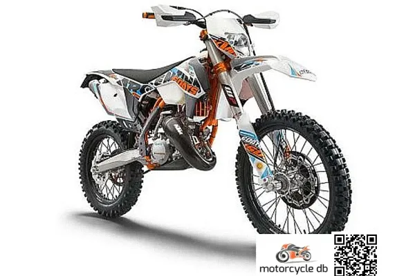 2015 KTM 300 EXC SixDays