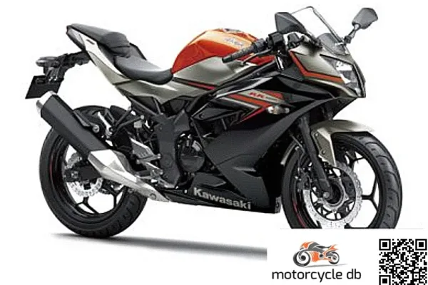 2016 Kawasaki Ninja RR Mono