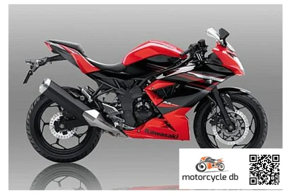 2015 Kawasaki Ninja RR Mono