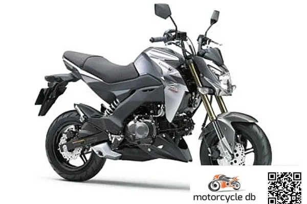 2016 Kawasaki Z125 Pro
