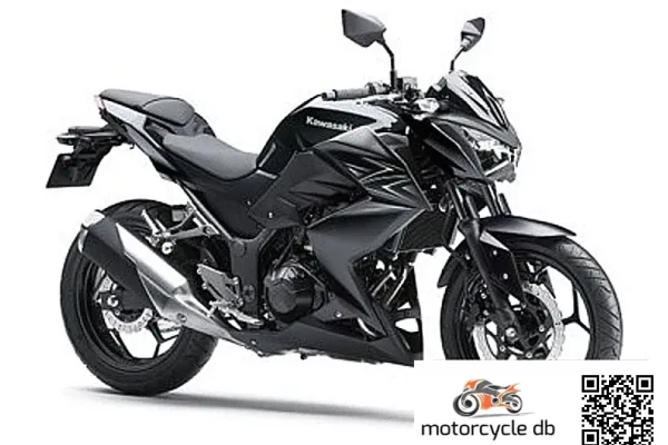 2016 Kawasaki Z250