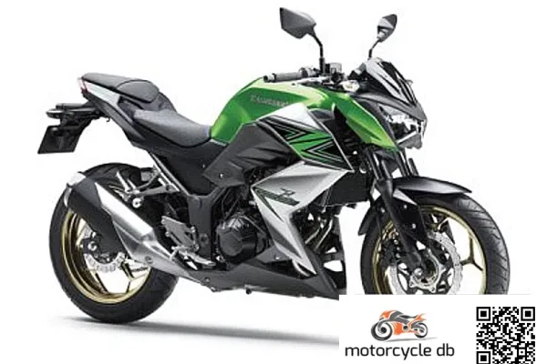 2016 Kawasaki Z300 Special Edition