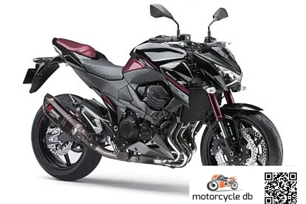 2016 Kawasaki Z800 Sugomi