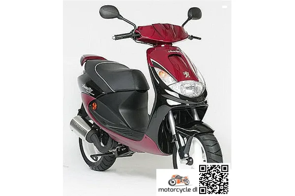 2007 Peugeot Vivacity 100 T