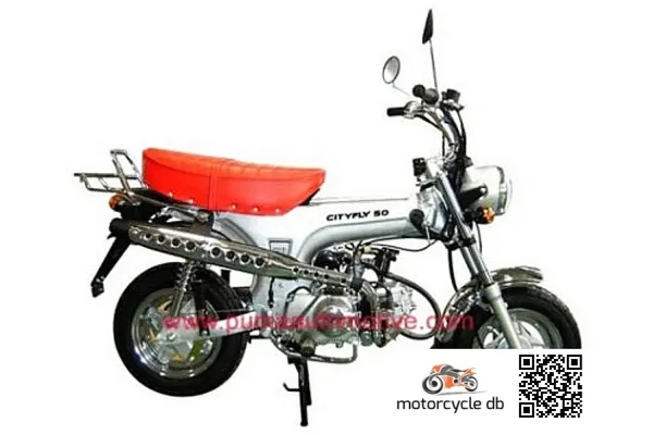 2010 Puma CityFly 125
