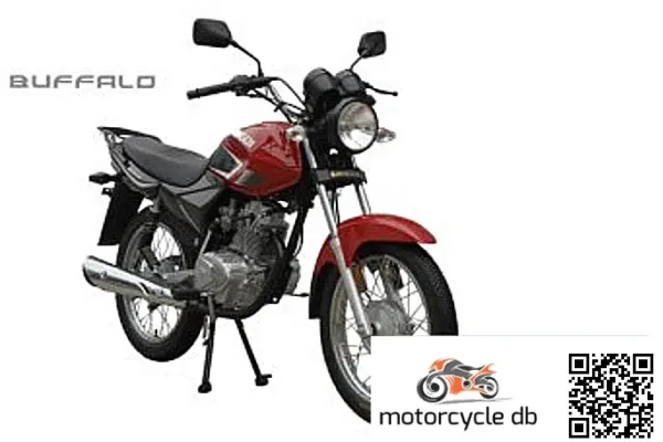 2013 Qingqi Buffalo QM125-10R
