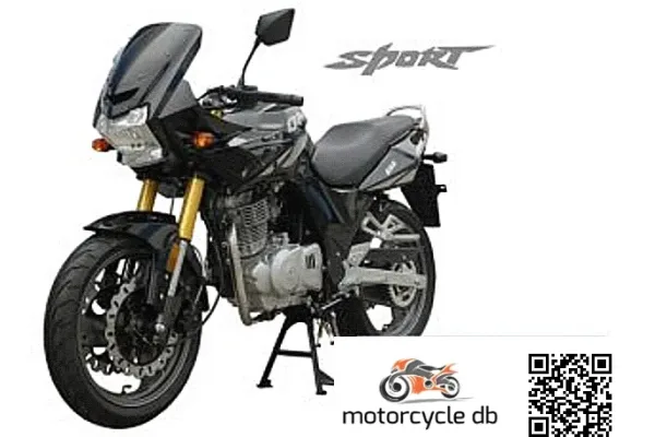 2013 Qingqi Sport QM250-2D
