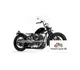 2021 Road Hopper TYPE2I - photo 2