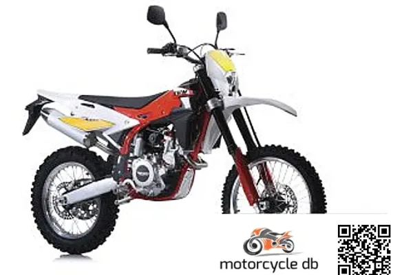 2019 SWM RS300R