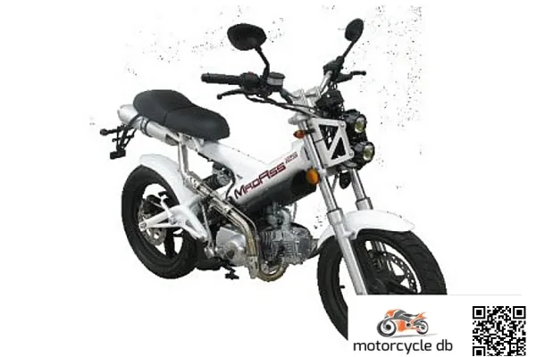 2013 Sachs MadAss 125