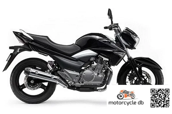 2012 Suzuki Inazuma 250