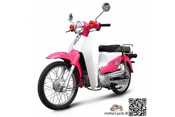 2012 Tiger Future 110