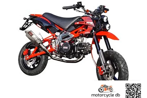 2012 Tiger KickAss 125