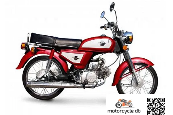 2012 Tiger Retro Sport 110