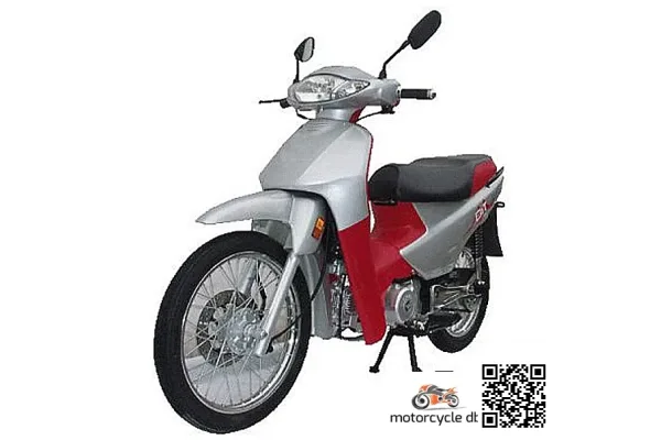 2007 VeliMotor VL110-5