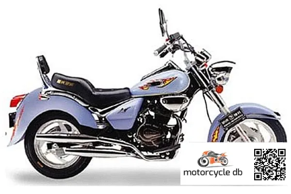 2010 VeliMotor VL150-8