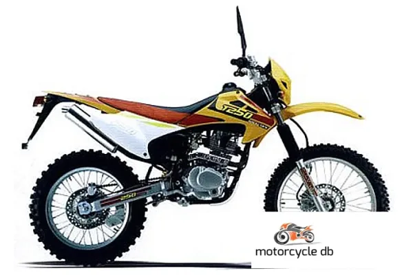 2007 VeliMotor VL250PY