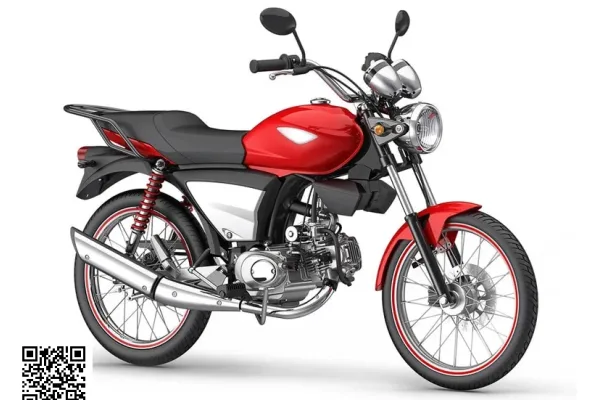 2010 Dafra Super 100