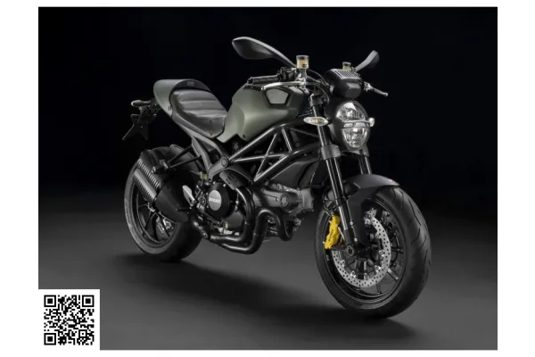 2012 Ducati Monster 1100 Diesel