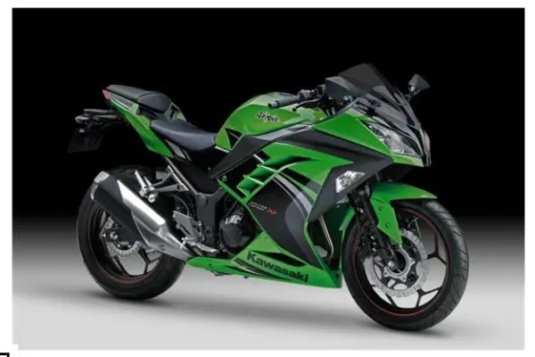 2015 Kawasaki Ninja 300 ABS