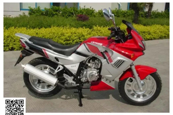 2010 Kinroad XT110PY-2B