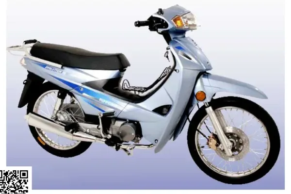 2010 Nipponia Mego 125S